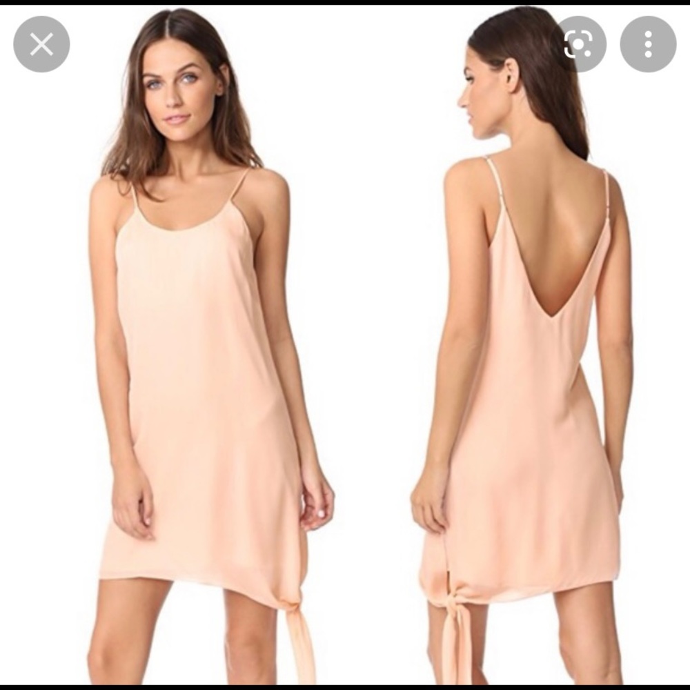 Haute Hippie Magnolia dress